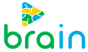BRAIN Instituto de ciência e tecnologia 