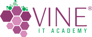 Vine IT Solutions 