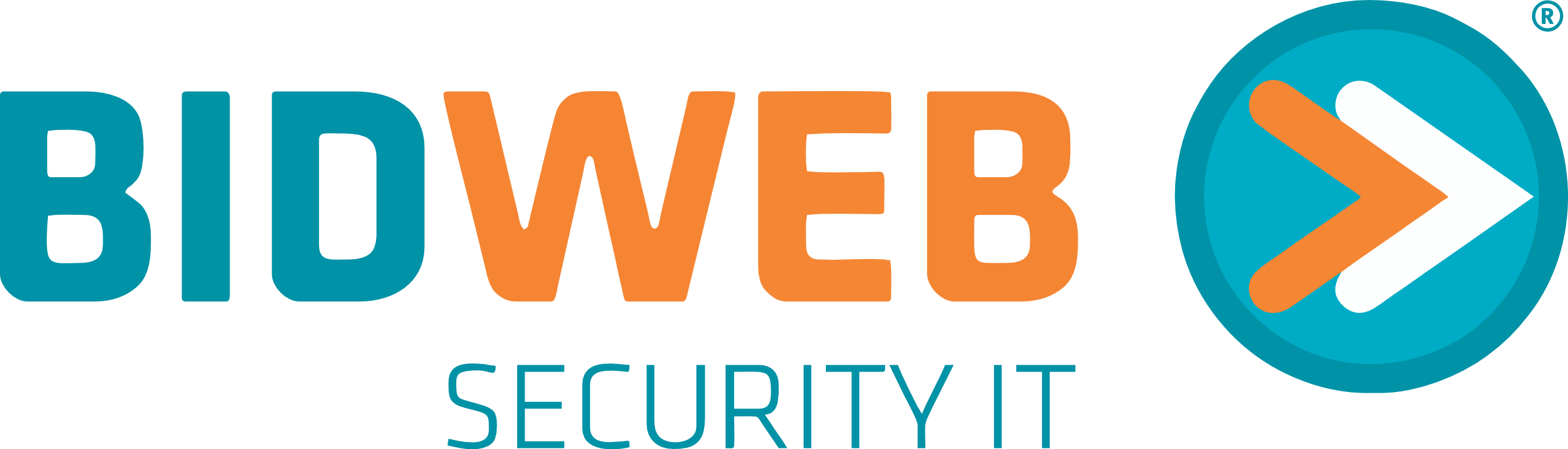 Bidweb Security IT