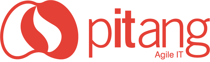 PITANG Consultoria e sistemas S.A.