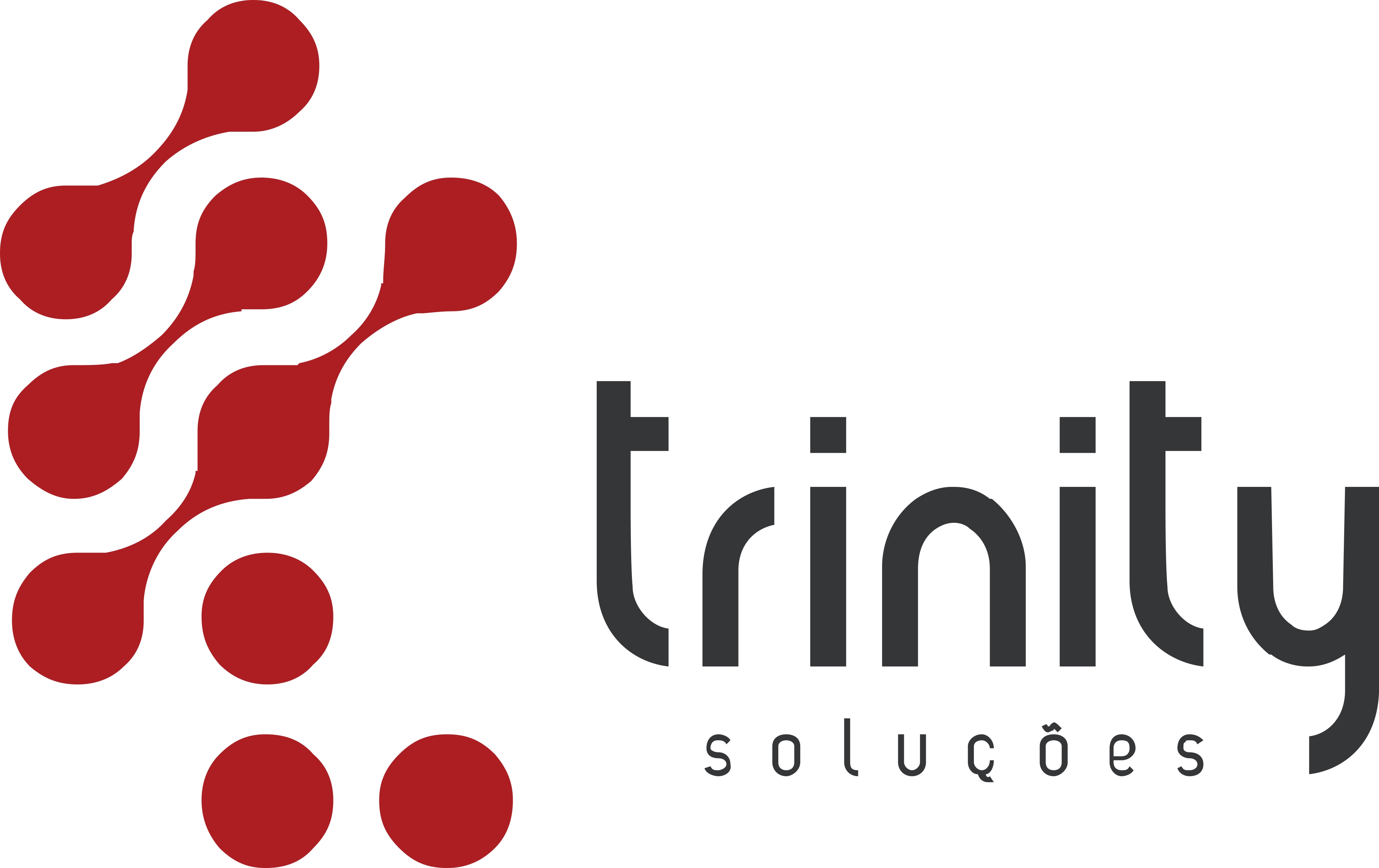 TRINITY BRASIL Serviços de informática Ltda.